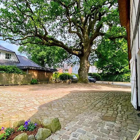 In With Swimming Pool Quickborn (Pinneberg)